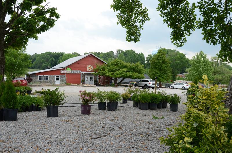 Green Leaf Nursery Glasgow, KY