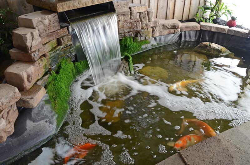 Green Leaf Nursery Glasgow, KY