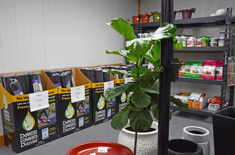 Green Leaf Nursery Glasgow, KY