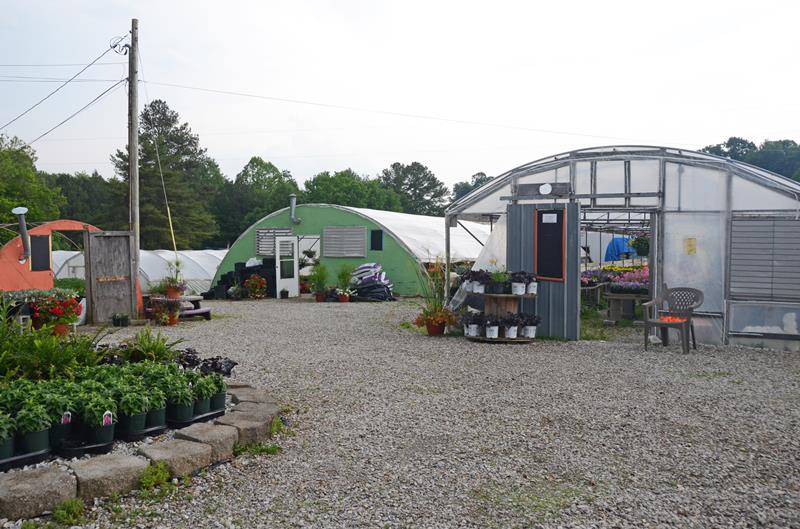 Green Leaf Nursery Glasgow, KY