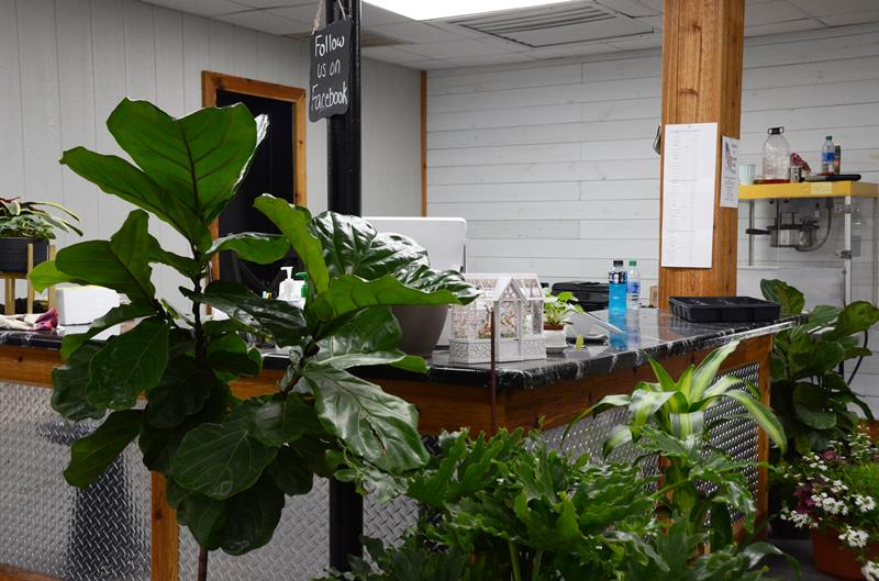 Green Leaf Nursery Glasgow, KY