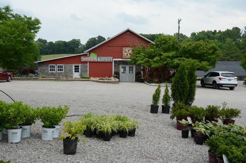 Green Leaf Nursery Glasgow, KY