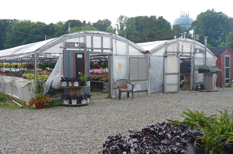 Green Leaf Nursery Glasgow, KY